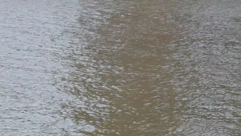 River waves Vidéo 8979796