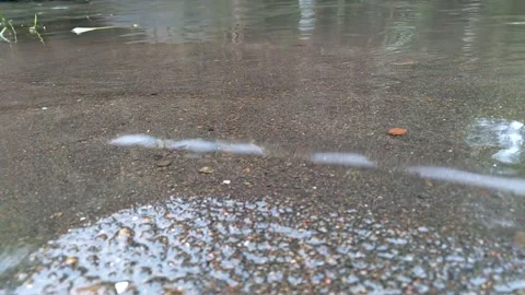 River waves Stock Footage 257454516