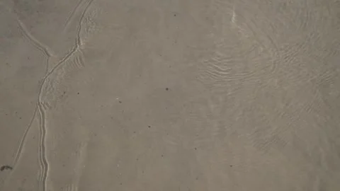 River waves gently lapping on sandy beach. Calm water and sand texture. Stock Footage 312956394