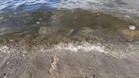 River waves with ice. Dam. Video stock 104590280