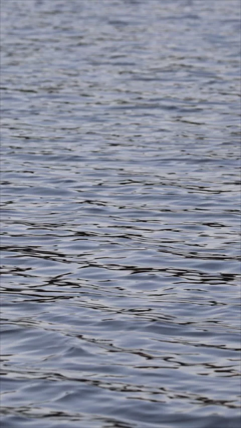 River Waves Moving In Summer Weather. Vertical.   스톡 동영상 284344363