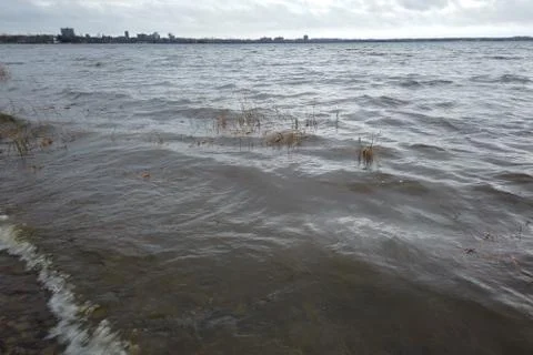 River waves with reeds Stock Photos