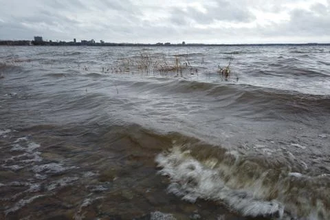 River waves with reeds Stock Photos