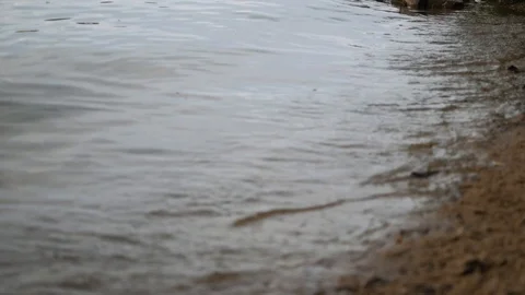 River waves roll on the shore Stock Footage 123014429