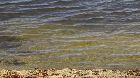 River waves at the shore with a sandy bottom Stock Footage 104512085
