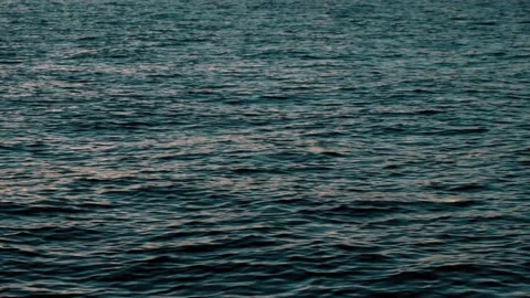 River Waves Slow Motion Tagus River Stock Footage 214151016