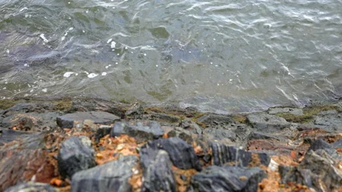 River waves spalsing at rock Video stock 225127047