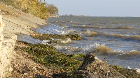River waves sprinkle over stones against the background of reeds and blue sky Stock Footage 118449221