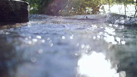 River waves. Sunny summer day. Stock Footage 77528459