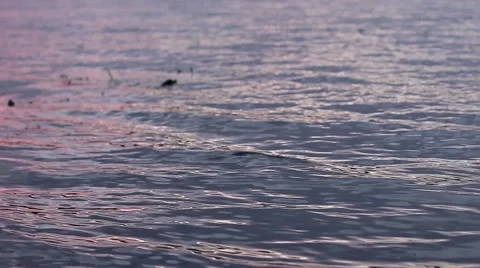 River waves at sunset close-up Stock Footage 55316561