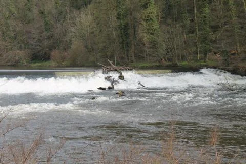 River Weir. Stock Photos