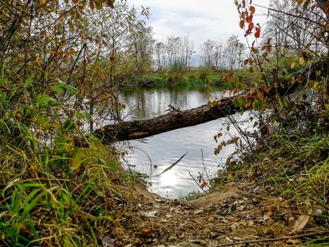 River West Morava Stock Photos