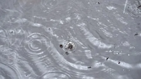 The river is wet with a rain drops falling on its surface Stock-Footage 304495133
