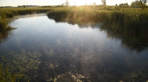 River Wetland Mist in the Wind and Sun Stock Footage 54073197