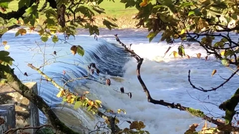 River Wharfe Grassington 2022 Stock Footage 219802434
