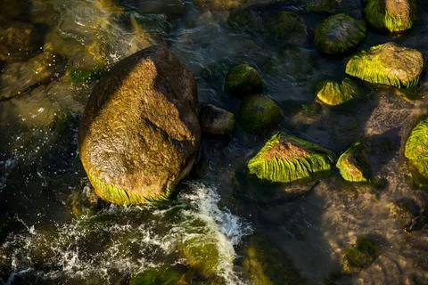 A river which is filled with numerous rocks and lush green moss on them Stock Photos