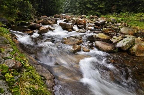 The river White Elbe Stock Photos