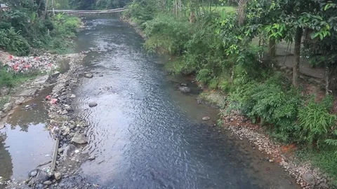 River whose water is receding Stock Footage 253877269