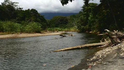 River wide Stock Footage 126658987