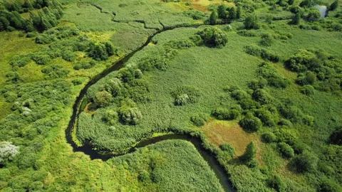 River in Wild, aerial view. Zigzag river. Natural Resource and Ecosystem. Stock Footage 161415766