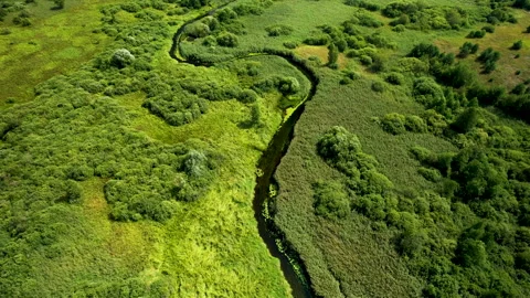 River in Wild, aerial view. Zigzag river. Natural Resource and Ecosystem. Vídeos de archivo 161416125