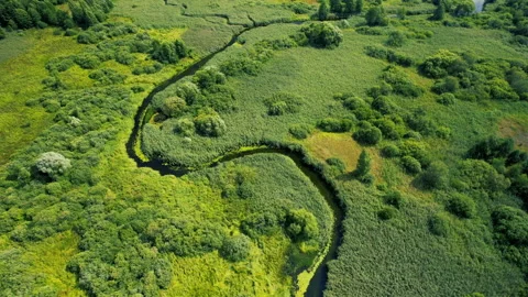 River in Wild, aerial view. Zigzag river. Natural Resource and Ecosystem. Видео 161416380
