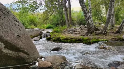 River in the wild. Endless meditative video. Video stock 166249471
