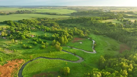 River in wild. Small river in green field and forest in swamp, Aerial view. Видео 197121740