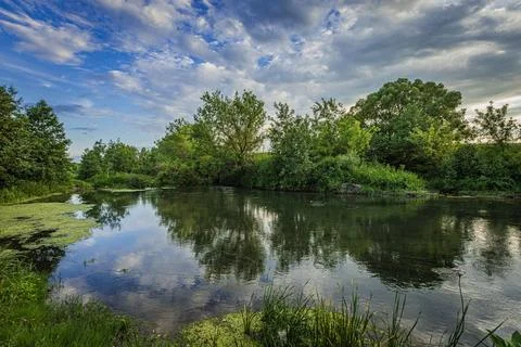 A river in the wild in summer Stock Photos
