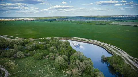 A river in the wild in summer Stock Photos