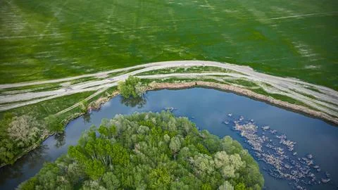 A river in the wild in summer Stock Photos