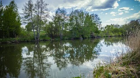 A river in the wild in summer Stock Photos