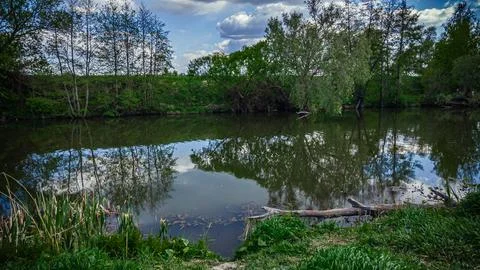A river in the wild in summer Stock Photos