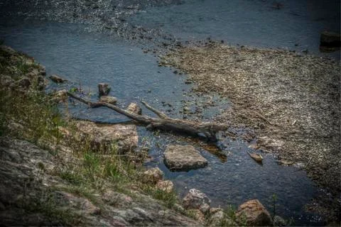 A river in wilderness Stock Photos