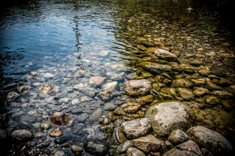 A river in wilderness Stock Photos