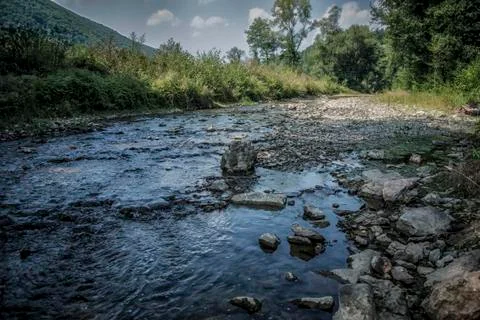 A river in wilderness Foto stock