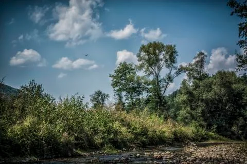 A river in wilderness Stock Photos