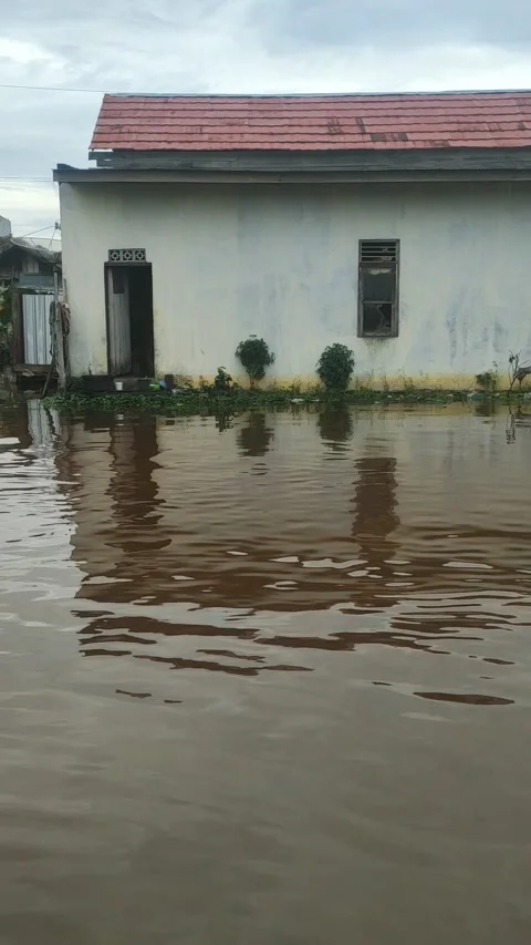 The river will overflow Video stock 209595325