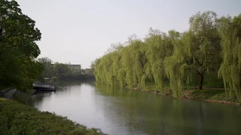 River with willow trees and boat dock Stock Footage 279719856