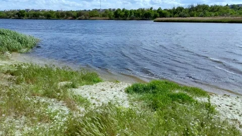 The river, the wind drives the waves. Spring nature Stock Footage 199798058