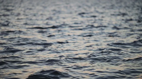 River in the wind Stock Footage 49434269