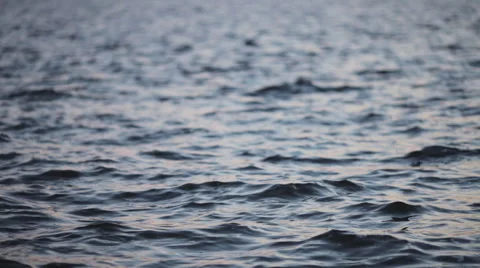 River in the wind Stock Footage 49434595