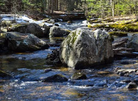 River windindg through the forest of new england Foto stock