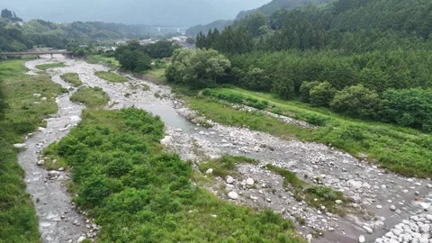 River winds through green valley with rocky bed Vidéo 339111404