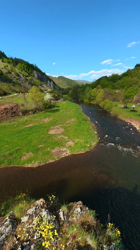 River winds through lush green valley. Temska River, Serbia. Vertical Vidéo 333700907