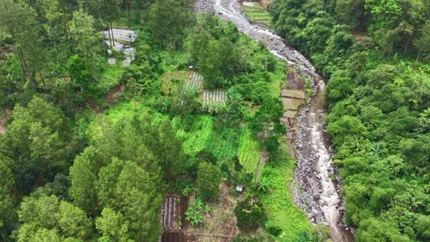 River winds through lush green valley Stock Footage 336147203