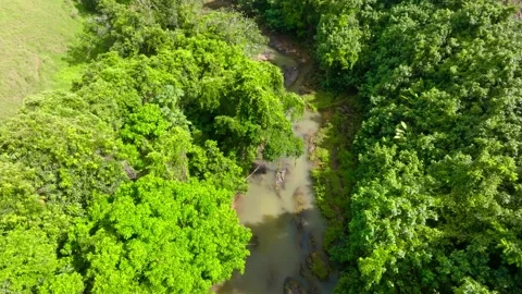 A river winds through lush green wetlands dotted with trees on a sunny day. Stock Footage 347672908