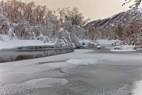 The river in the winte Stock Photos