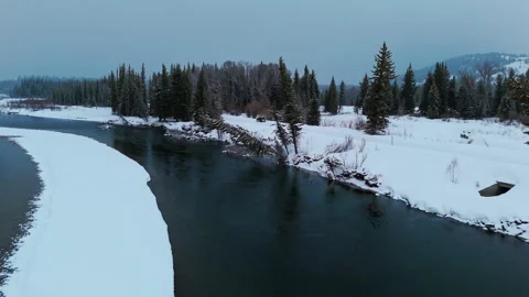 River in Winter with Conifer Trees Hanging Over Water Stock Footage 312867061