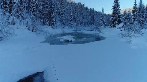 River in winter Stock Footage 83256234